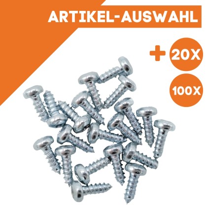 Schraube 2,2 x 6,5 mm Torx 6 für Lampen-und Telefonmast ML-Train