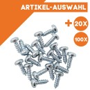 Schraube 2,2 x 6,5 mm Torx 6 für Lampen-und Telefonmast ML-Train