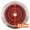 2x B-Getriebe rot mit Motor + GRATIS Getriebefett und Leitpaste ML-Train 8200263_auswahl4
