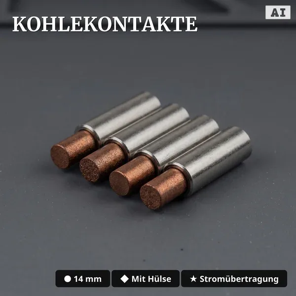 Motor-Tausch Set für LGB Spur G – Universal-Motor, Schleiferkohlen & Getriebefett ML-Train 8200302 - Kohlekontakte