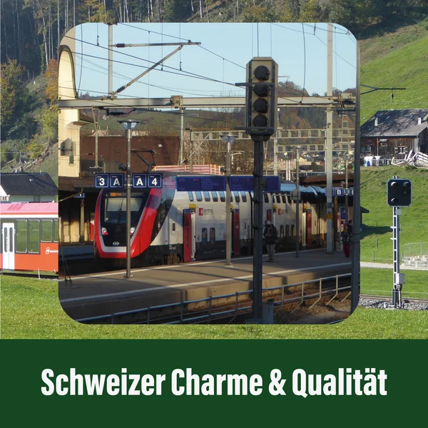 Lichtsignal Typ L 4-fach RhB für Spur G analog / digital mit Decoder ML-Train 83804608_auswahl12