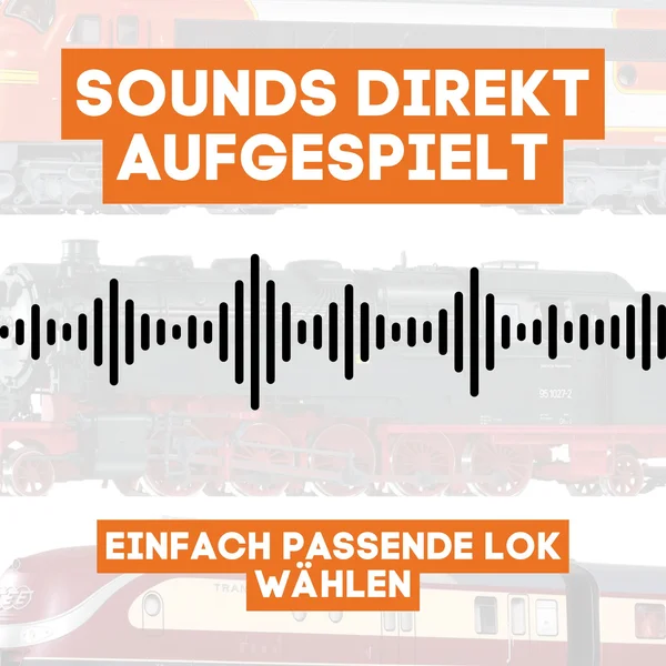 Digitalisierungsset für LGB Stainz ML-Train 81609161_auswahl5