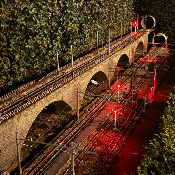 Lichtsignal Kopf mit Abdeckung 2-fach RhB Spur G für Typ L ML-Train 83804626_auswahl2