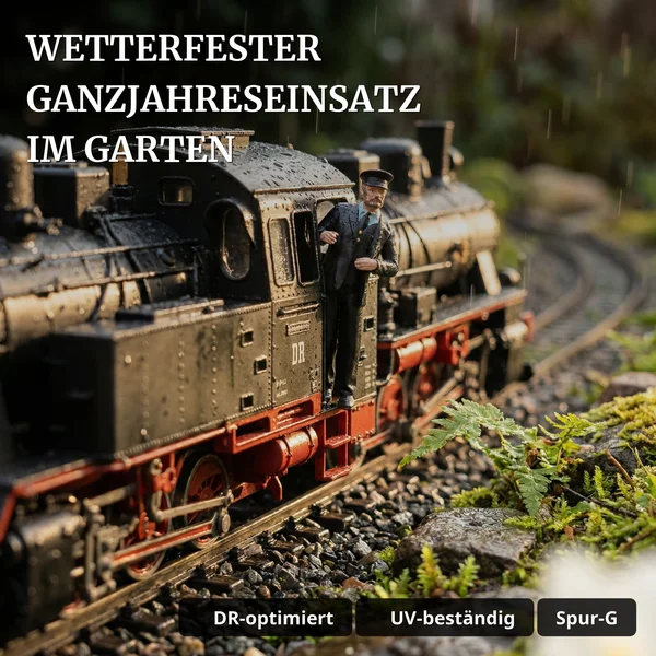 Lokführer DR/HSB Tobias links lehnend Spur-G_auswahl7