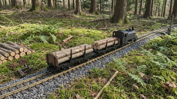 Drehschemelwagen Set Schwarz Metall-Speichenradsatz 31 mm Spur G Bausatz ML-Train 88923640_auswahl5