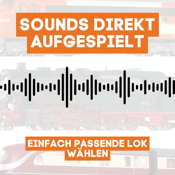 Digitalisierungsset für PIKO G BR 50 ML-Train 81609114_auswahl10