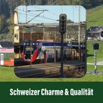 Lichtsignal Typ L 5-fach RhB für Spur G analog / digital mit Decoder ML-Train 83804609_auswahl12