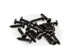PT-Schraube 20 Stück 3,0 x 13 mm ML-Train 88101007