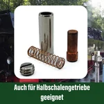 82301006_auswahl3
